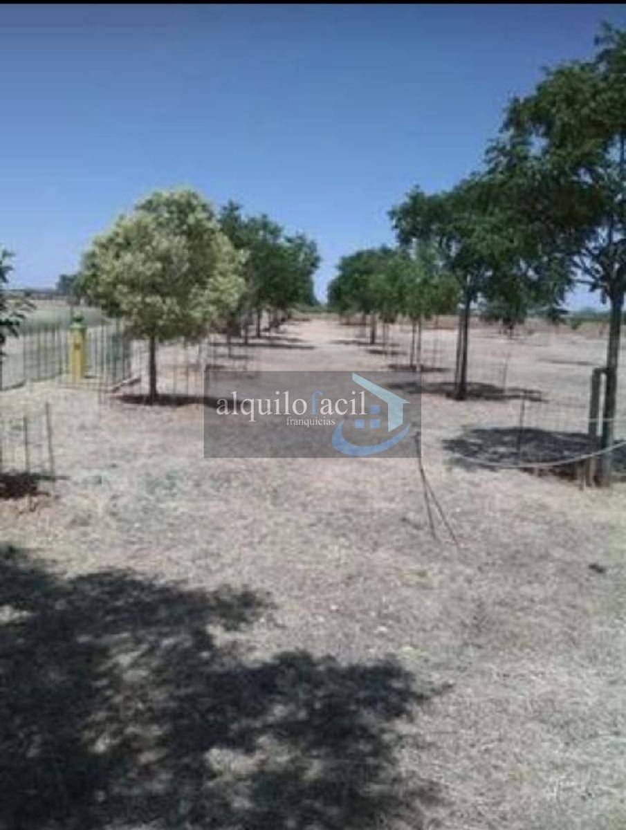 Land for sale in Casas de Benitez