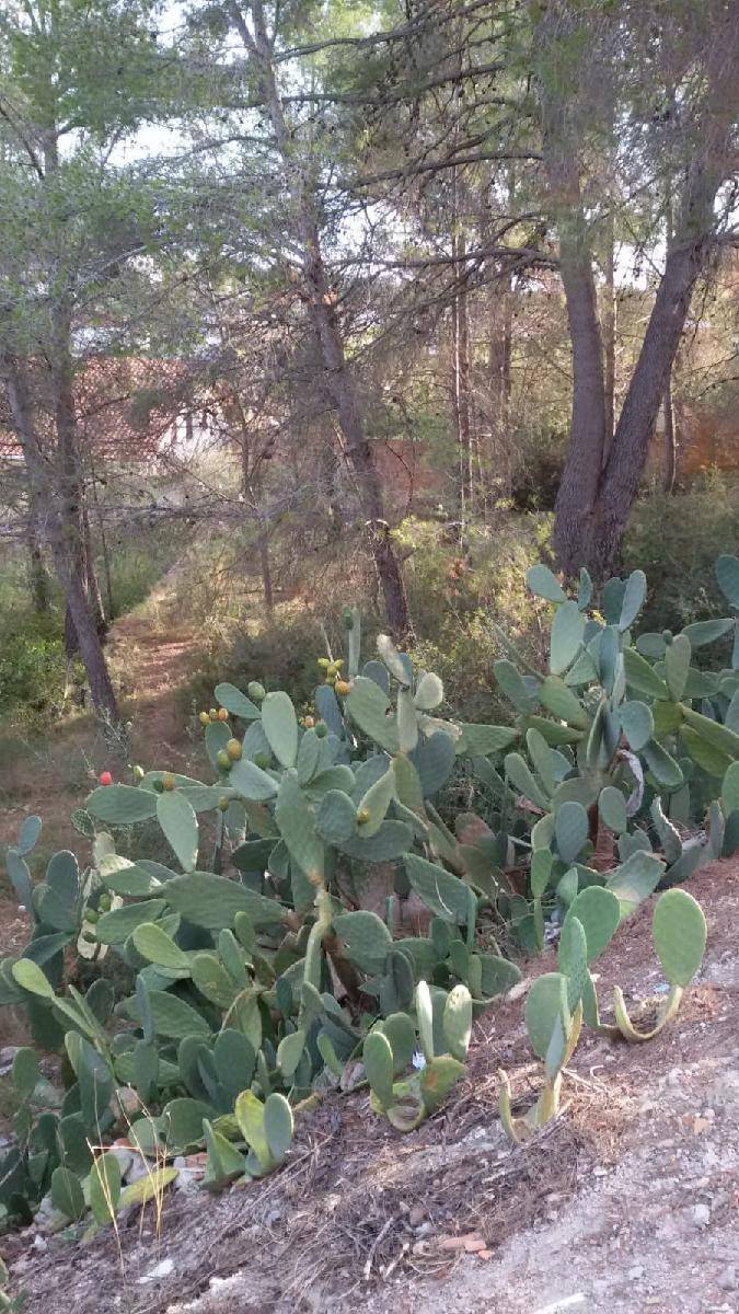 Parcela en venta en Cubelles